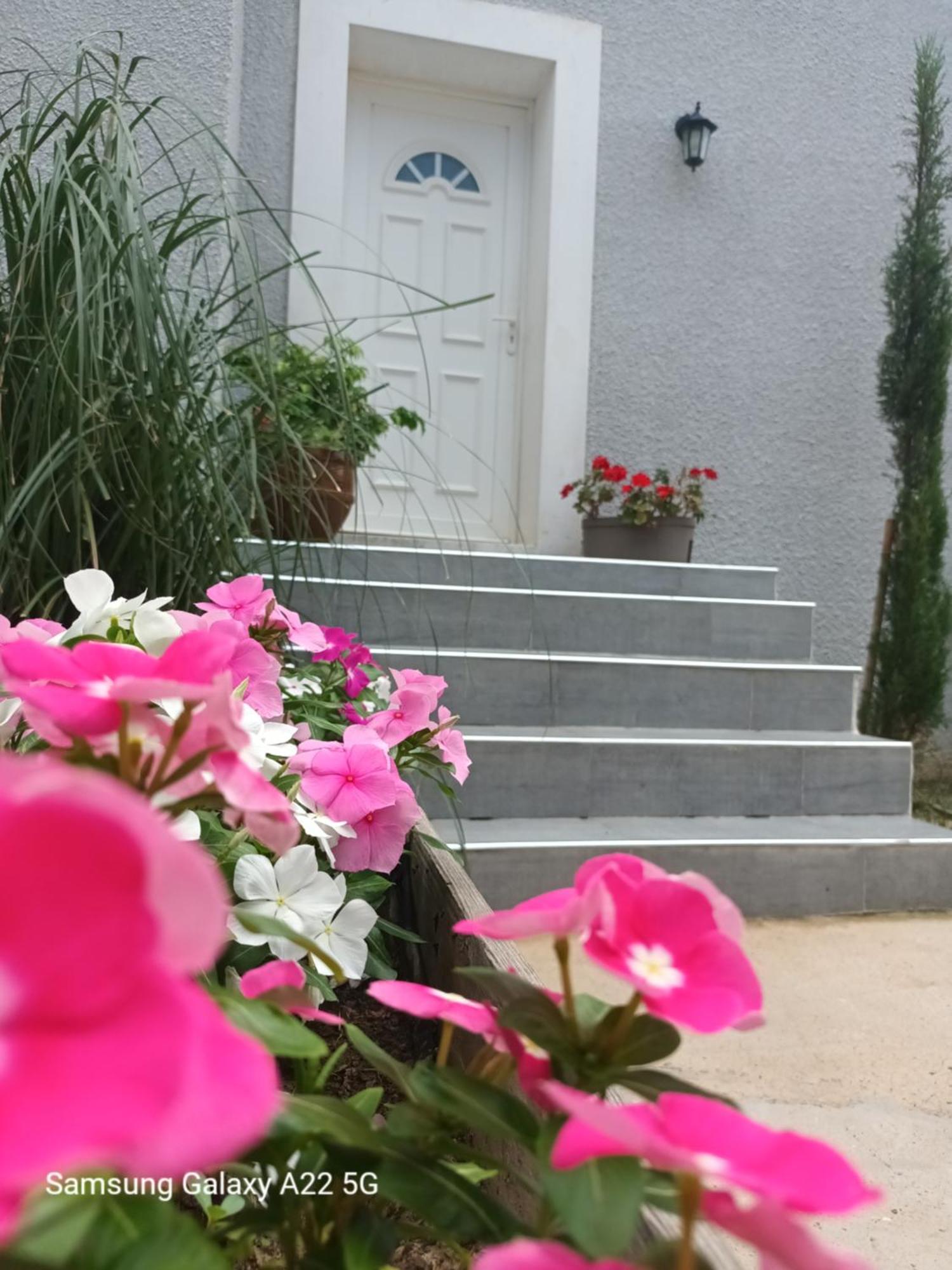 Villa San Salvador Torreilles Plage Екстер'єр фото